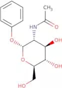 Phenyl 2-acetamido-2-deoxy-α-D-glucopyranoside