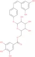 Resveratrol-4’-O-(6”-galloyl)glucoside