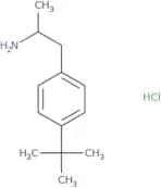 (2R)-1-(4-tert-Butylphenyl)propan-2-amine hydrochloride
