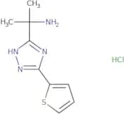 2-[5-(Thiophen-2-yl)-1H-1,2,4-triazol-3-yl]propan-2-amine hydrochloride