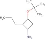 3-(tert-Butoxy)-2-(prop-2-en-1-yl)cyclobutan-1-amine