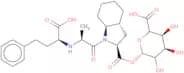 Trandolaprilat acyl-D-glucuronide