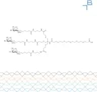 Tri-b-GalNAc-PEG5-carboxylic acid