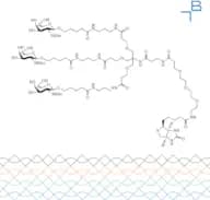 Tri-b-GalNAc-b-alanine-PEG3-biotin