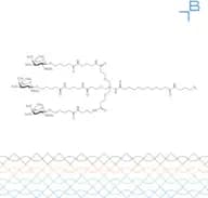 Tri-b-GalNAcAc3-C12-amido-C3-azide