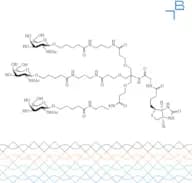 Tri-b-GalNAc-gly-biotin