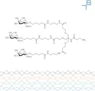 Tri-b-GalNAc-b-alanine-NH2