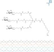 Tri-b-GalNAc-b-alanine-PEG3-amine