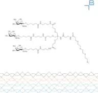 Tri-b-GalNAc-b-alanine-PEG3-azide
