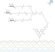 Tri-b-GalNAc-b-alanine-PEG3-FITC