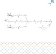 Tri-b-GalNAc-PEG2000-DSPE