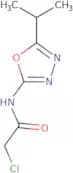 2-Chloro-N-[5-(propan-2-yl)-1,3,4-oxadiazol-2-yl]acetamide