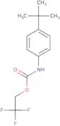2,2,2-Trifluoroethyl N-(4-tert-butylphenyl)carbamate