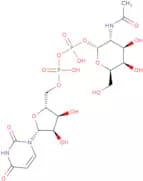 UDP-GalNAc disodium salt
