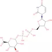 UDP-α-D-galacturonic acid