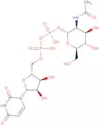 UDP-N-acetyl-D-mannosamine