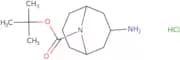 3-Amino-9-Boc-9-azabicyclo[3.3.1]nonane HCl