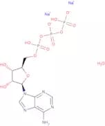 Adenosine 5'-triphosphate disodium salt hydrate