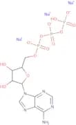Adenosine 5'-triphosphate trisodium salt