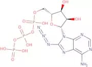 8-azido-ATP sodium salt - 10mM aqueous solution