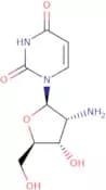 2'-Amino-2'-deoxyuridine
