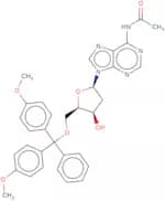 N6-Acetyl-2'-deoxy-5'-O-DMT-adenosine