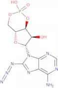 8-Azidoadenosine 3',5'-cyclic monophosphosphate free acid