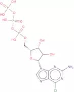 2-Amino-6-chloro-(b-D-ribofuranosyl)purine-5'-triphosphate