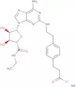 4-[2-[[6-Amino-9-(N-ethyl-b-D-ribofuranuronamidosyl)-9H-purin-2-yl]amino]ethyl]benzenepropanoic ac…