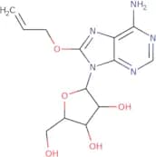 8-Allyloxyadenosine