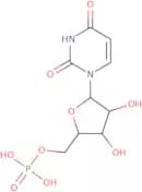 1-b-D-Arabinofuranosyluracil 5'-monophosphate