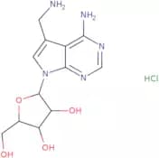7-(Aminomethyl)-7-deazaadenosine