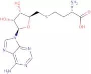 S-(5'-Adenosyl)-L-homocysteine dihydrate
