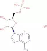 Adenosine 5'-monophosphate monohydrate