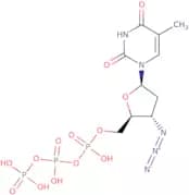 3'-Azido-3'-deoxythymidine-5'-triphosphate lithium salt - 100mM aqueous solution