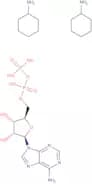 Adenosine 5'-diphosphate bis(cyclohexylammonium) salt