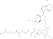 Acetyl coenzyme A lithium