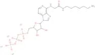 N6-([6-Aminohexyl]carbamoylmethyl)adenosine 5'-triphosphate lithium salt