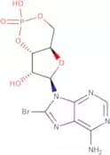 8-Bromoadenosine 3',5'-cyclic monophosphate