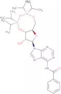 N6-Benzoyl-3',5'-O-(1,1,3,3- tetraisopropyl-1,3-disiloxanediyl)adenosine