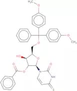 2'-O-Benzoyl-5'-O-DMT-4-thiouridine