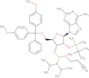2'-O-tert-Butyldimethylsilyl-5'-O-DMT-C2-methyladenosine 3'-CE phosphoramidite