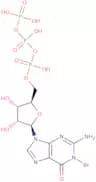 8-Bromoguanosine-5'-triphosphate sodium salt - 10 mM aqueous solution