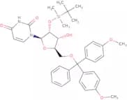 2'-O-tert-Butyldimethylsilyl-5'-O-DMT-uridine