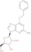 O6-Benzyl guanosine