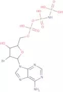 2'-Bromo-2'-deoxyadenosine-5'-[(β,γ)-imido]triphosphate triethylammonium salt - 10mM aqueous solut…