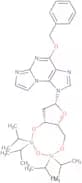 O6-Benzyl-N2,3-etheno-2'-deoxy-3',5'-O-[tetrakis(isopropyl)-1,3-disiloxanediyl] guanosine