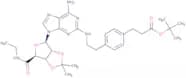 2-[[4-[2-(tert-Butoxycarbonyl)ethyl]phenylethyl]amino]2',3'-O-isopropylideneadenosine-5'-N-ethylca…