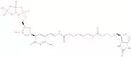 Biotin-11-deoxycytidine-5'-triphosphate, lithium salt - 1 mM aqueous solution