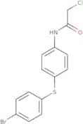 N-{4-[(4-Bromophenyl)sulfanyl]phenyl}-2-chloroacetamide